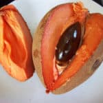 mamey sapote belize