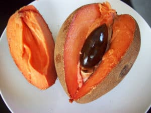 mamey sapote belize