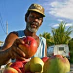 belize mangos