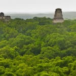 Jungle view from the top of Tikal's main temple