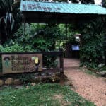The Belize botanic gardens