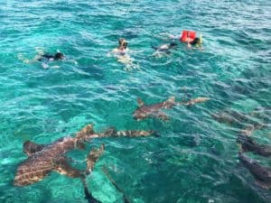 Snorkeling at Hol Chan Marine Reserve in Belize