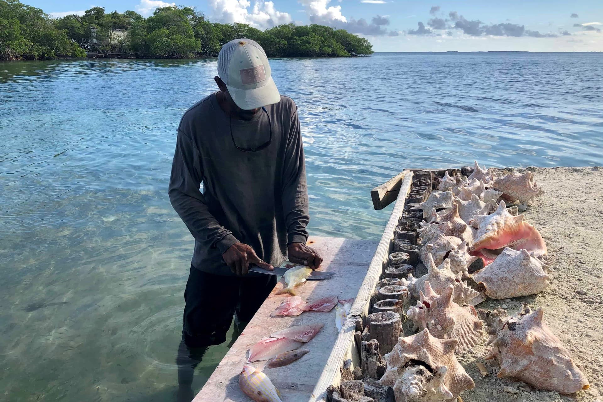 Stop at Bread and Butter Caye during Fishing tour from Hopkins