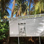South Water Caye Marine Reserve