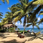 Beach at Hamanasi Resort in Hopkins Village