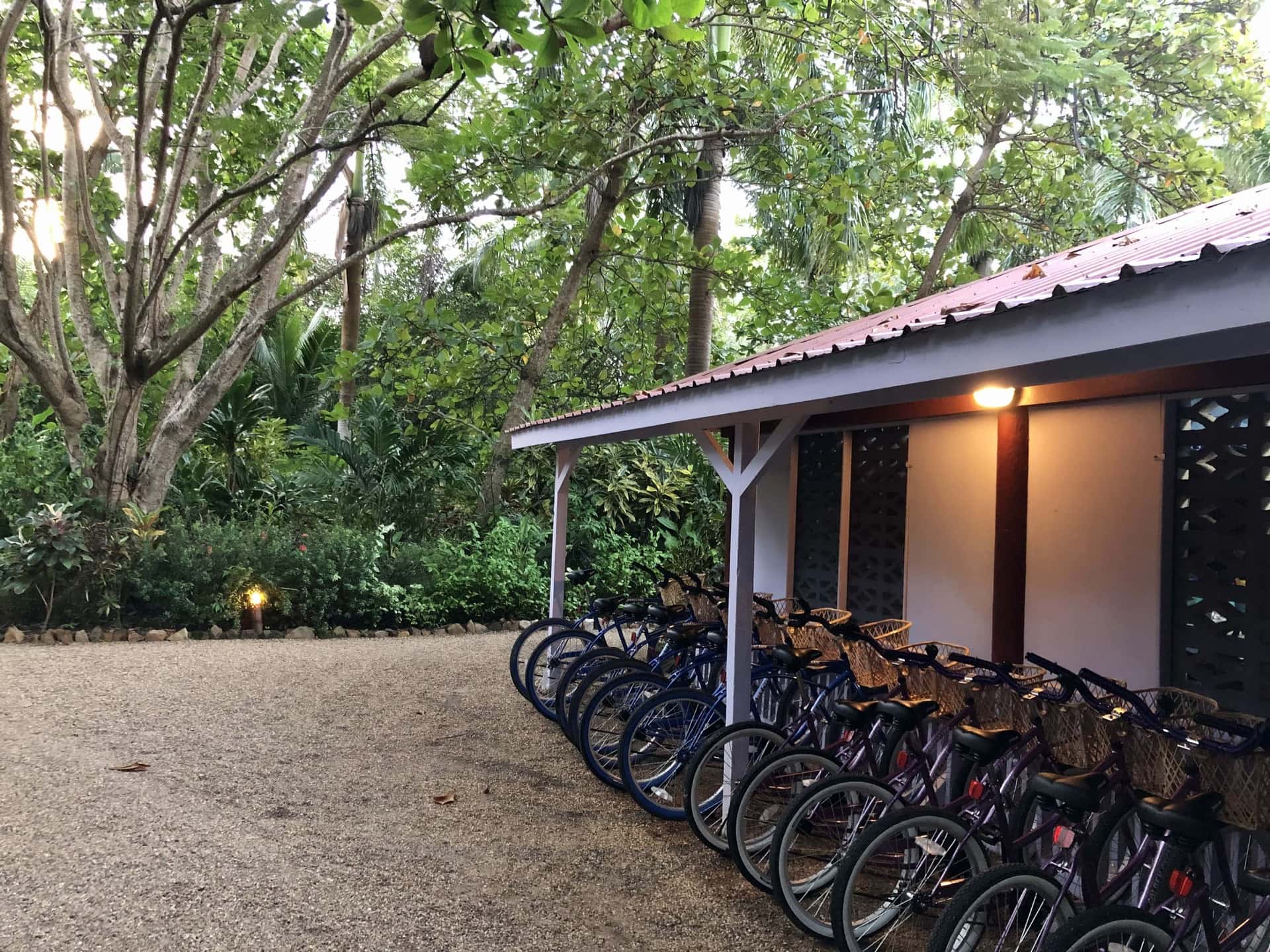 Hopkins Village Cultural Tour on Bicycle