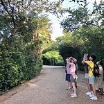 Onsite birding at Hamanasi Resort