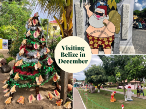 December is the start of the Dry Season and peak Tourist Season